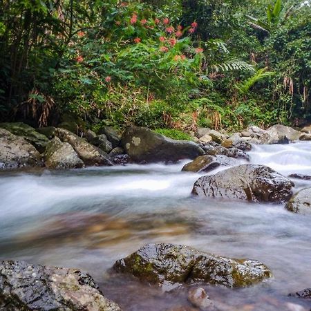 Oyo 93146 Lamin Indah Hotell Puncak Eksteriør bilde